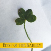 Barleyjuice - St. Patrick's Day
