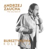 Bursztynowa Kolekcja - The Very Best of Andrzej Zaucha