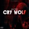 Cry Wolf - AllyBo lyrics