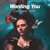 Wanting You (Club Mix) artwork