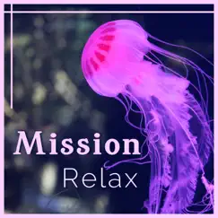 Mission: Relax – Anti Stress Music, Sounds of Peace, Daily Dose of Happiness, Soothing Harmony by Headache Relief Unit album reviews, ratings, credits