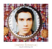 David Fonseca - Someone That Cannot Love