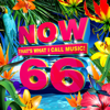 Various Artists - NOW That's What I Call Music, Vol. 66  artwork