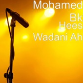 Hees Wadani Ah artwork