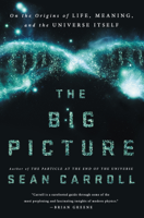 Sean Carroll - The Big Picture: On the Origins of Life, Meaning, and the Universe Itself (Unabridged) artwork