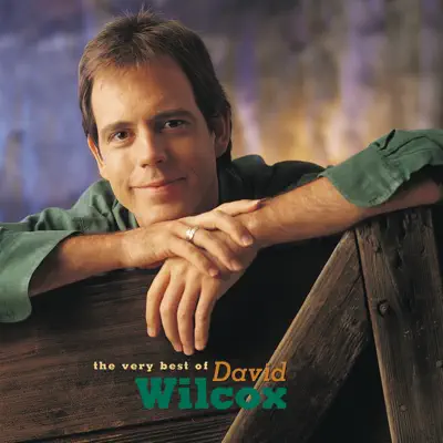 The Very Best of David Wilcox - David Wilcox