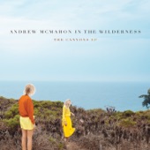 Cecilia and the Satelitte by Andrew McMahon in the Wilderness