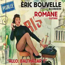 Allo, Balthazar ? ! - Romane