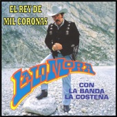 El Rey de Mil Coronas artwork