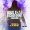 Hold That Sucker Down (Festival Dub Mix) - Sound Of Legend lyrics