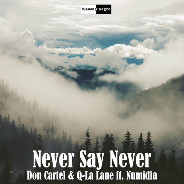 Never Say Never Feat Numidia Single By Don Cartel Q La Lane On Apple Music