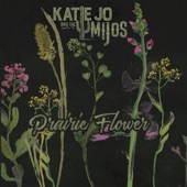 Katie Jo & the Mijos - Crooked Lies