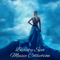Unforgettable Paradise SPA Music Academy - Beauty Spa Music Collection: Feng Shui Consort, Body Relaxation, Sensual Massage, Best Exotic Vacation, New Age Journey, Soothing Dream & Thoughts, Positive Sounds Effect artwork