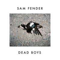 Sam Fender - Dead Boys artwork