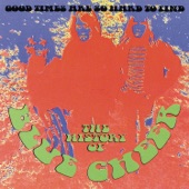 Blue Cheer - good times are so hard to find