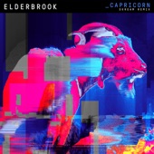 Capricorn (Skream Remix) artwork