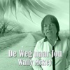 De Weg Naar Jou - Single