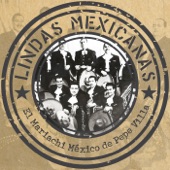 Lindas Mexicanas artwork