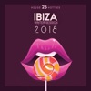 Ibiza Winter Session 2018 (25 House Hotties)