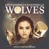 Wolves (Owen Norton Remix) artwork