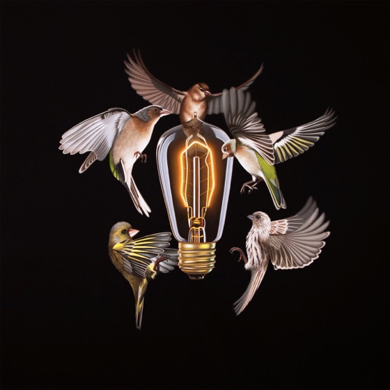 Cover artwork for Becoming My Own Home