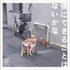 忘れらんねえよ - Smart Nanka Naritakunai