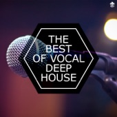 The Best of Vocal Deep House artwork