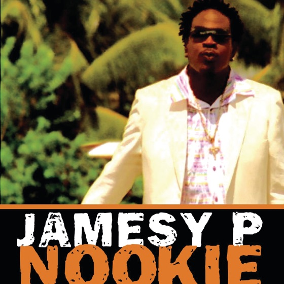 Cover artwork for Nookie