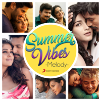 Various Artists - Summer Vibes: Melody artwork