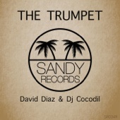 The Trumpet (Dub Mix) artwork