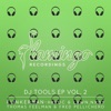 Flamingo DJ Tools EP Vol. 2