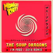 I'm Free (Riot Allstars Remix) artwork