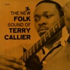 Terry Callier - Cotton Eyed Joe