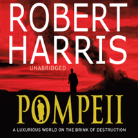 Robert Harris - Pompeii artwork