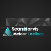 Meteor Feelings (Brazylero Remix) artwork