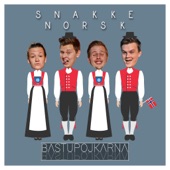 Snakke Norsk artwork