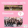 Volksmusik-Hits: Blasmusik, Vol. 8