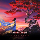 Mike Leite - November