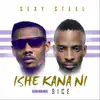 Ishe Kana Ni (feat. 9ice) - Single album lyrics, reviews, download