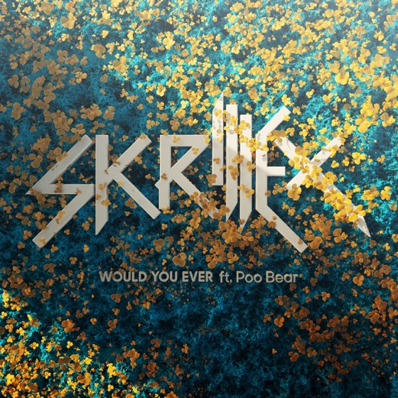 Cover artwork for Would You Ever