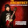 The Architect (Tribute to Peter Banks) - Single album lyrics, reviews, download