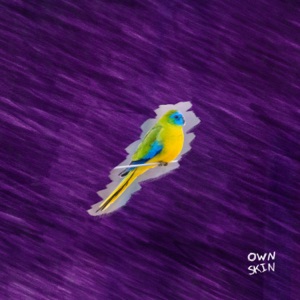 Own Skin - Single