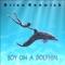 Boy on a Dolphin - Brian Renwick lyrics