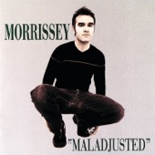 Morrissey - Sorrow Will Come In The End