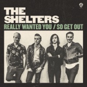 The Shelters - Really Wanted You