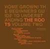 Home Grown! The Beginner's Guide to Understanding the Roots, Vol. 2 album lyrics, reviews, download