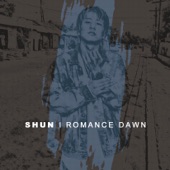 Romance Dawn artwork