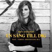 En sång till dig (feat. Tomas Andersson Wij) [Instrumental] artwork