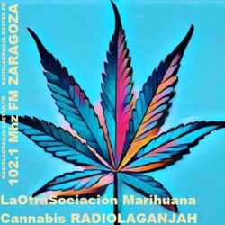 Cannabis MUSICA, Laotra Sociación de la Marihuana MUSICA