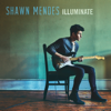 bajar descargar mp3 There's Nothing Holdin' Me Back - Shawn Mendes